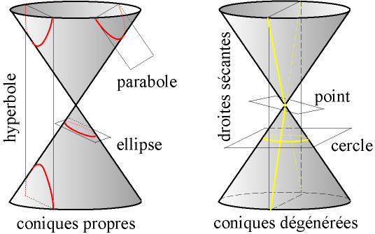 Coniques cone